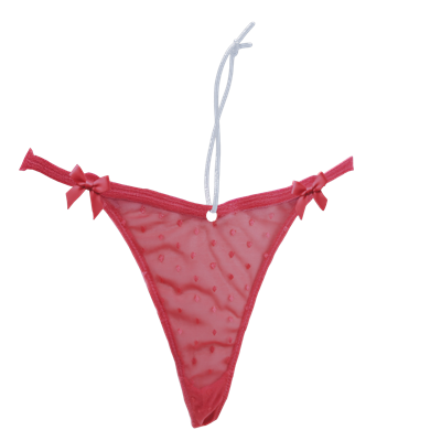 PantyWiffs novelty car air freshener